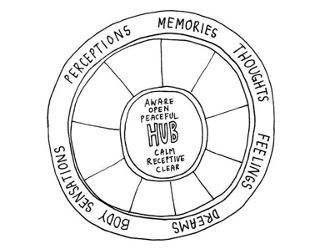 Mindsight HUB Wheel
